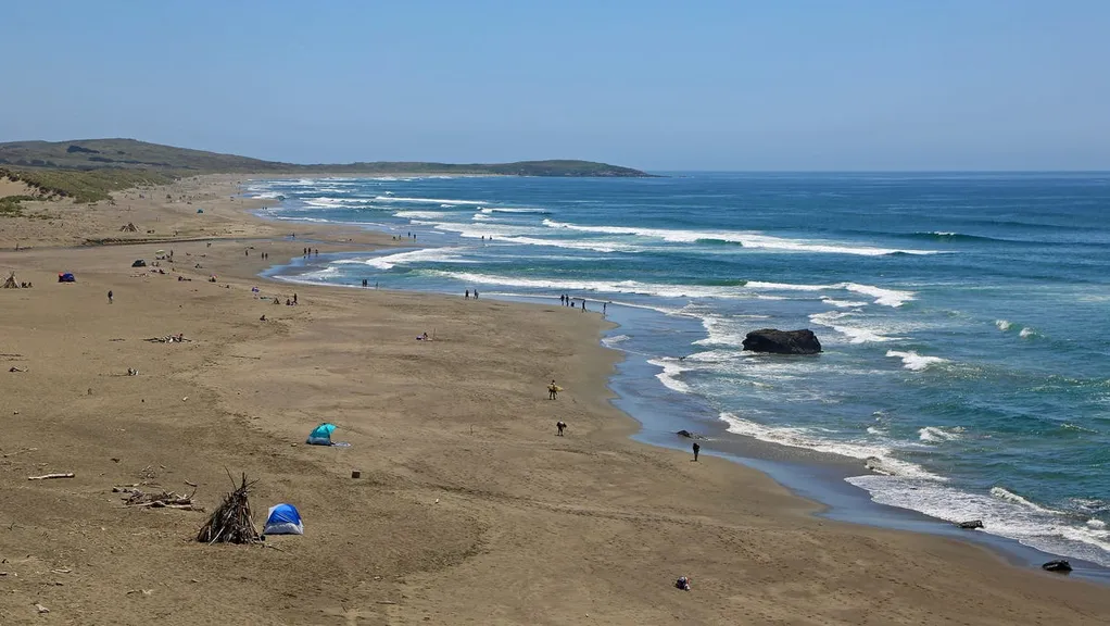 Remains found during family's seashell hunt ID'd as missing banker