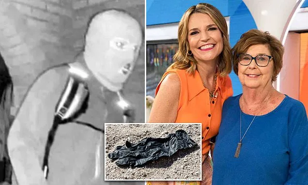 Glove DNA in Nancy Guthrie case could provide missing link in evidence