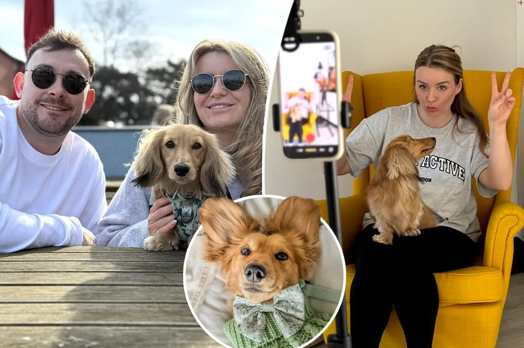 How an adorable dachshund  --  set to fund $66K wedding  --  became one family's breadwinner