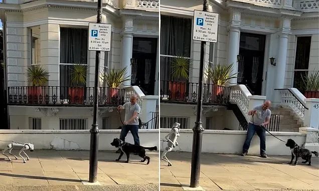 Moment real dog come face-to-face with AI robot pooch in London