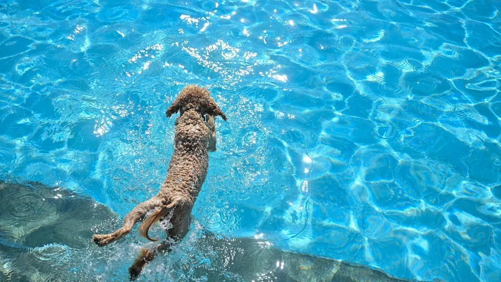 'No Hard Feelings, Right?'