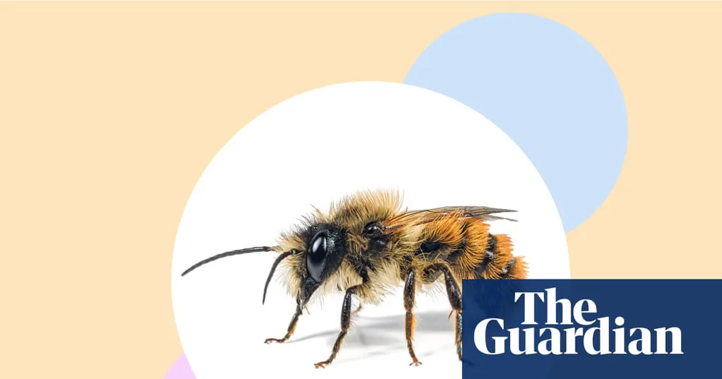 Say no to pesticides, mix up your lawn - and six more ways to help bees to thrive