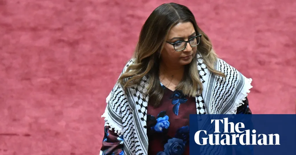 Mehreen Faruqi sanctioned for Gaza sign protest as Greens senator accused of 'street theatre'