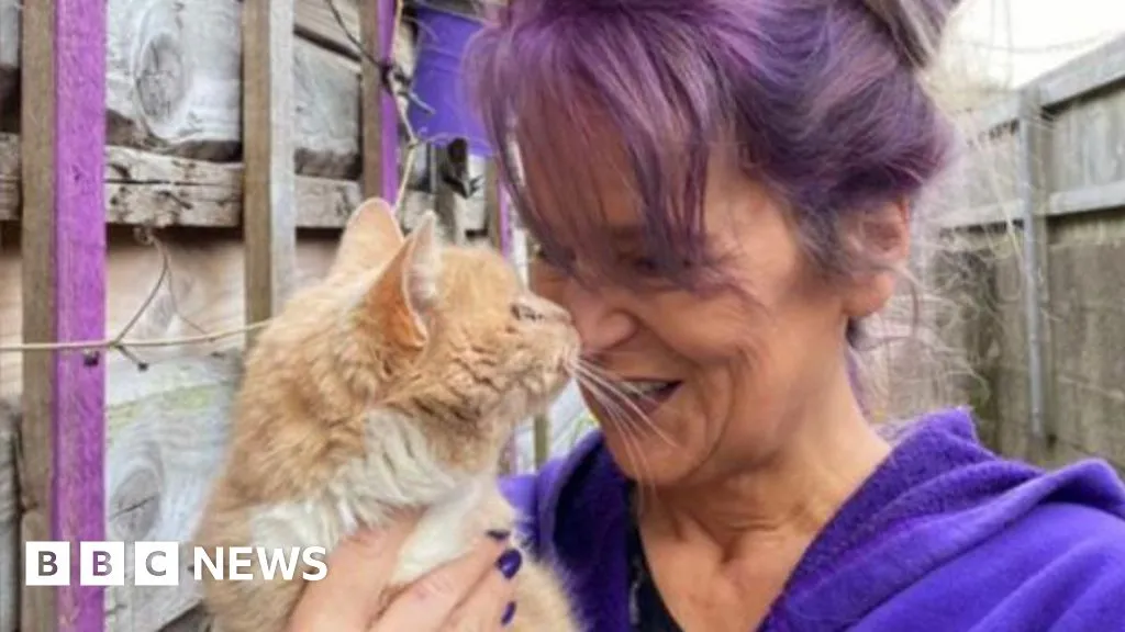 Cardiff woman spends £40,000 neutering cats as population 'booms'