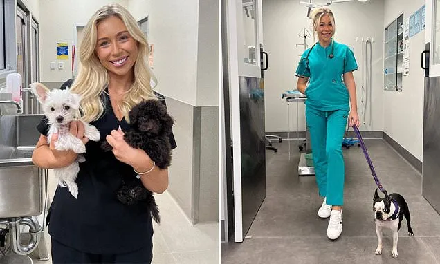 Aussie vet nurse names the best dog breeds and the types to avoid