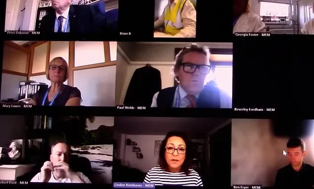 The NEW Jackie Weaver? Leaked council meeting shows furious bickering