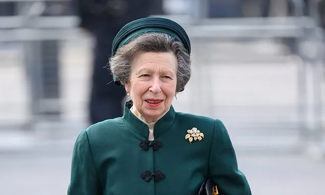 RICHARD KAY: The offer Princess Anne made to Andrew