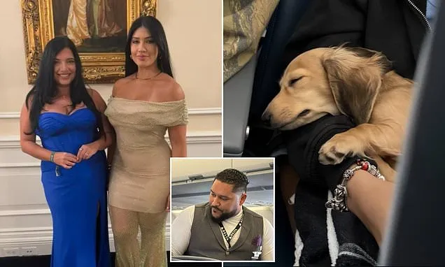 Influencers rage against Delta staff who screamed over sleeping dog