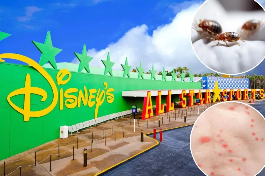 Disney tourist sues park for $50,000 due to 'pain and suffering' of alleged bed bug infestation