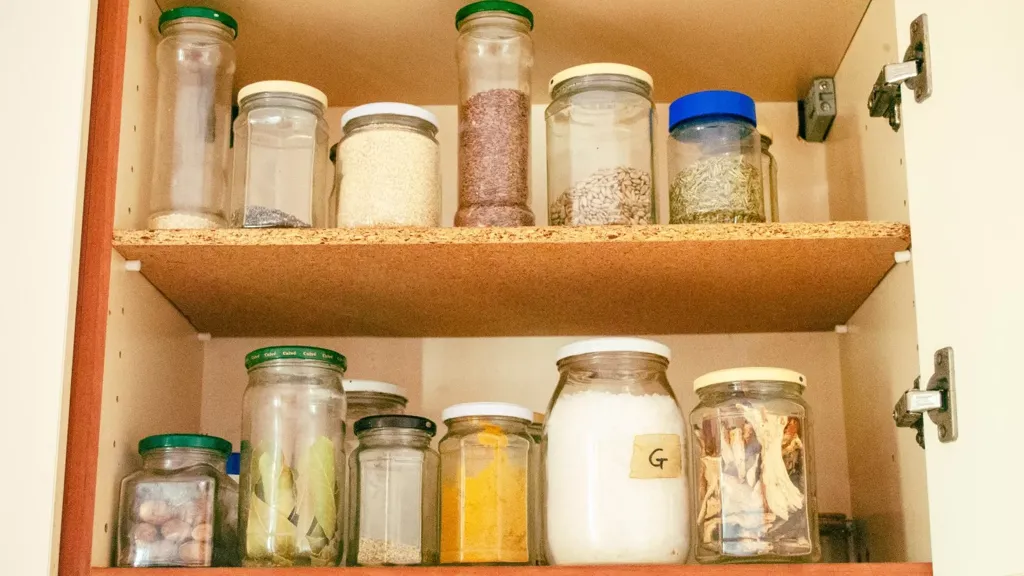 Homeowner goes away for 10 days, unprepared for what's moved into cupboard