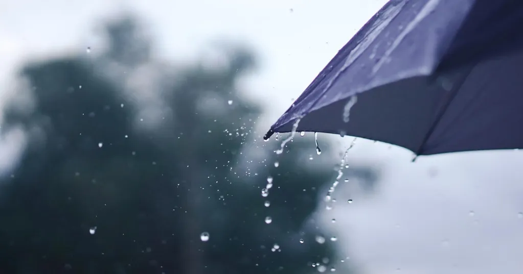 Storm to bring widespread rain to Bay Area, Central Coast