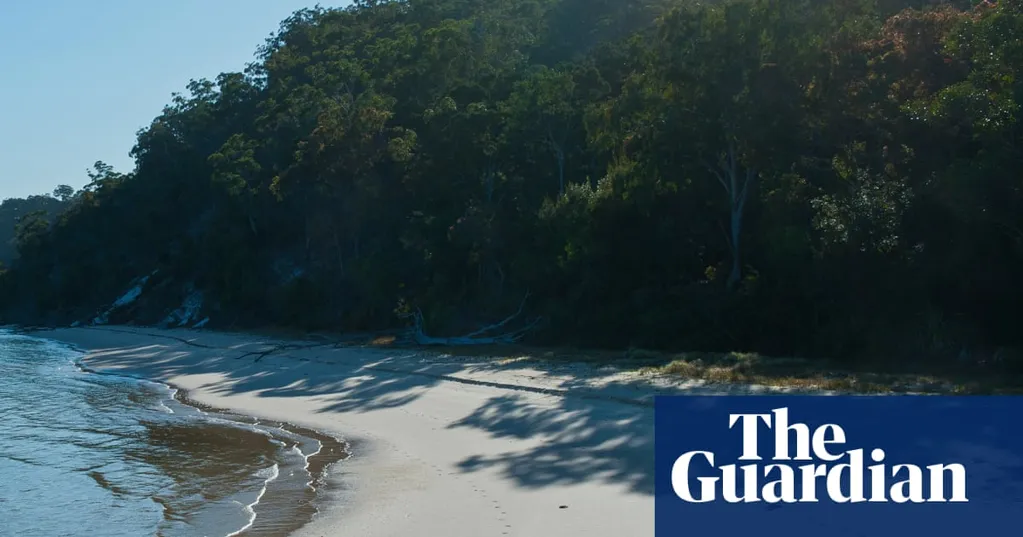 Campsites closed as police investigate possible dingo link to death of Canadian on Australian tourist island K'gari