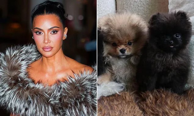 Kim Kardashian doubles down on puppy stunt slammed by PETA