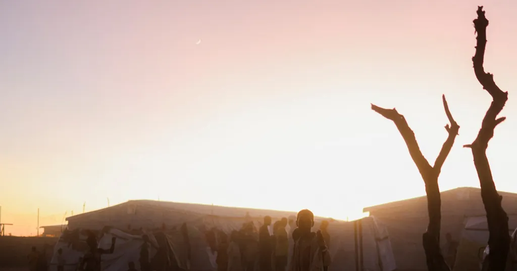 RSF actions in Sudan's al-Fashir points to genocide, UN probe says