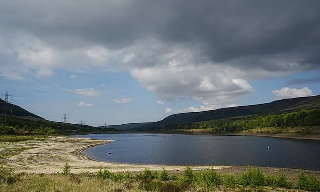 Investors stripping cash from water firms 'criminal´ says ex-Wessex...