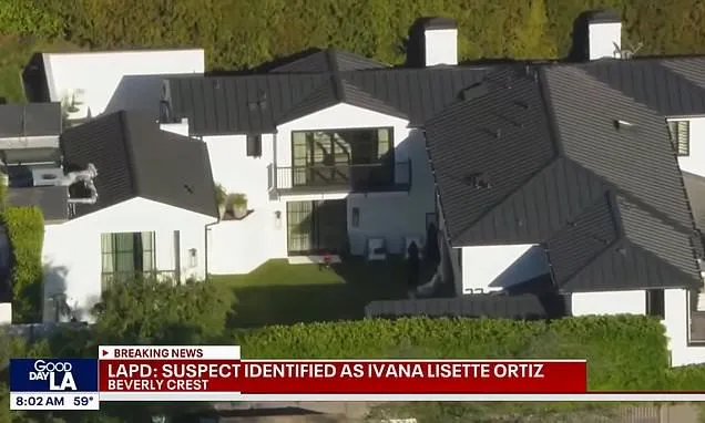 Rihanna flees LA after alleged mansion shooter is charged