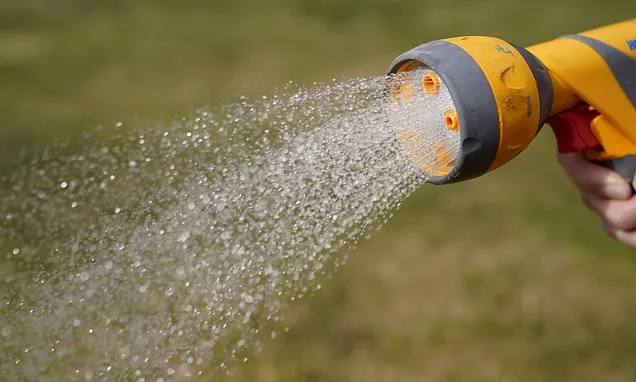 Yorkshire households first to face hosepipe ban as hot dry summer...