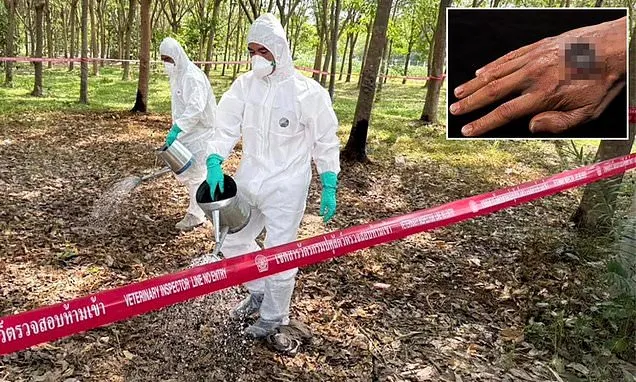 Deadly anthrax bacteria is dwelling in the soil in 43 states