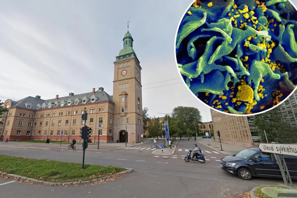 Norwegian man is 10th person ever to be cured of HIV  --  thanks to his brother