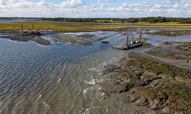 Harbour-dredged mud used for 'remarkable´ restoration of protective...