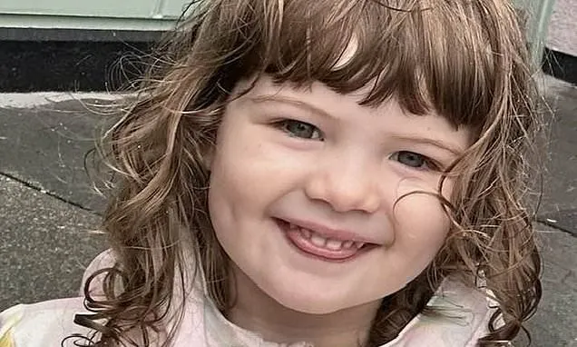 Photos show how girl, 2, fought for her life in scorching car