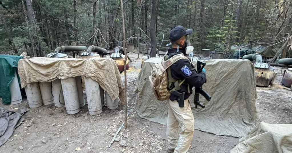 Mexico demands answers after CIA employees killed in car crash following drug lab raid: 