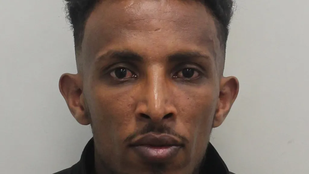 Migrant who sexually assaulted girl with special needs is jailed