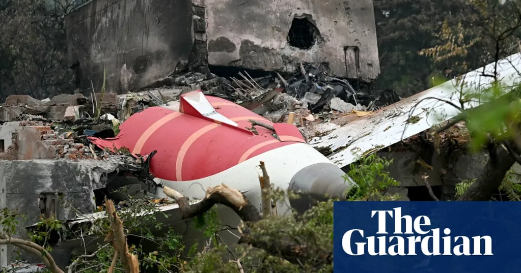 From bird strike to sabotage, experts offer range of theories for India air crash