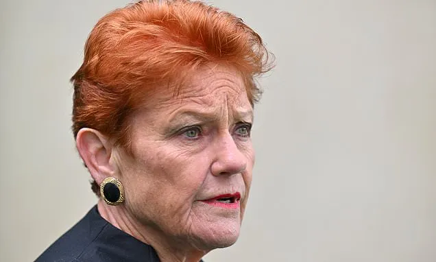 Pauline Hanson doubles down on her shocking 'no good Muslim' comment