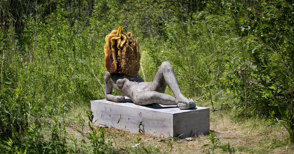 How Do Museums Care for Unconventional Acquisitions?