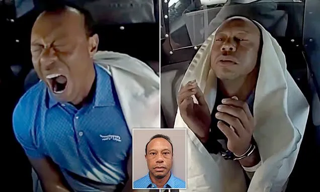 Bodycam footage of Tiger Woods' DUI arrest released