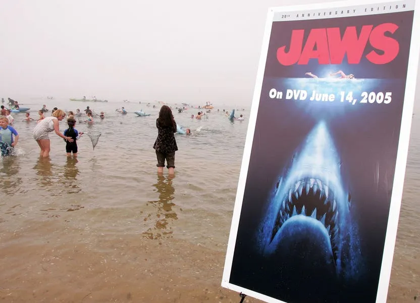 How Sharks Got Their Reputation Back From 