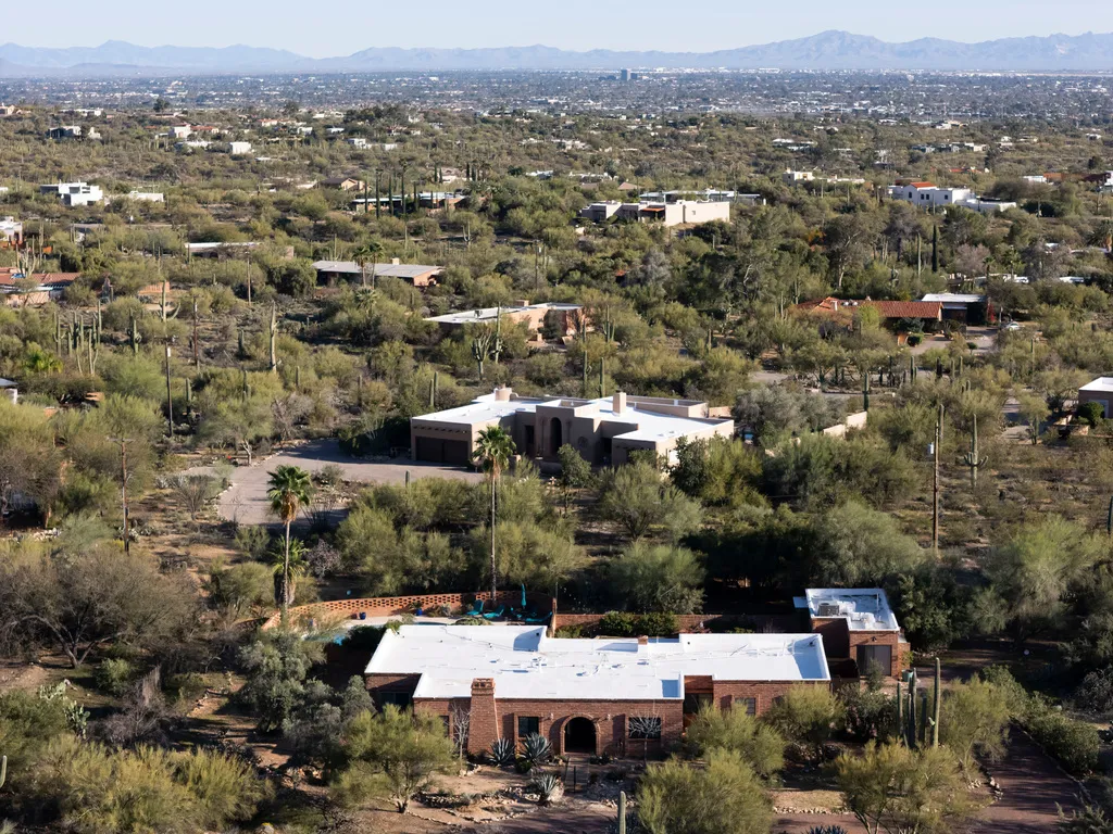 Nancy Guthrie case: Neighbor shares details of unknown man who 'didn't fit'