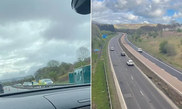 Police watchdog to investigate wrong-way motorway crash