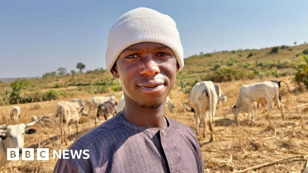 Nigeria's herder-farmer conflict: Deadly mix of religion, cattle and land in Plateau state
