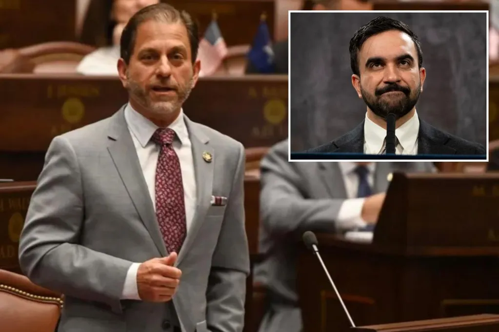 LI pol 'silenced' by Dems while trying to grill Mamdani about...