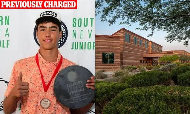 Second school boy charged as adult for alleged rape of bullied boy