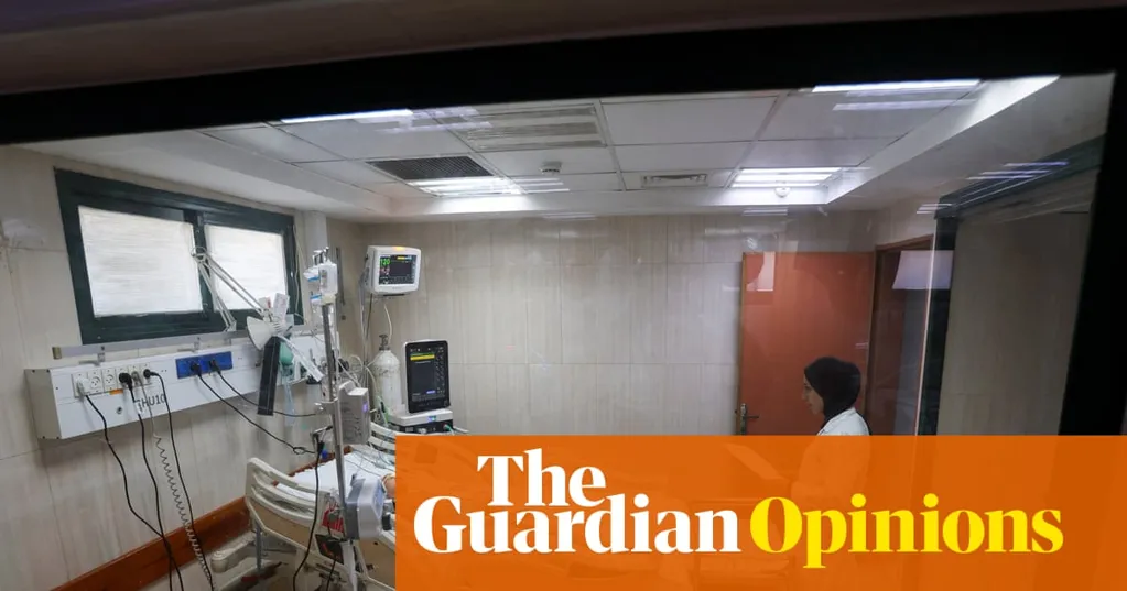 In Gaza I saw the suffering of children and the heroism of health workers trying to save them | Thienminh Dinh