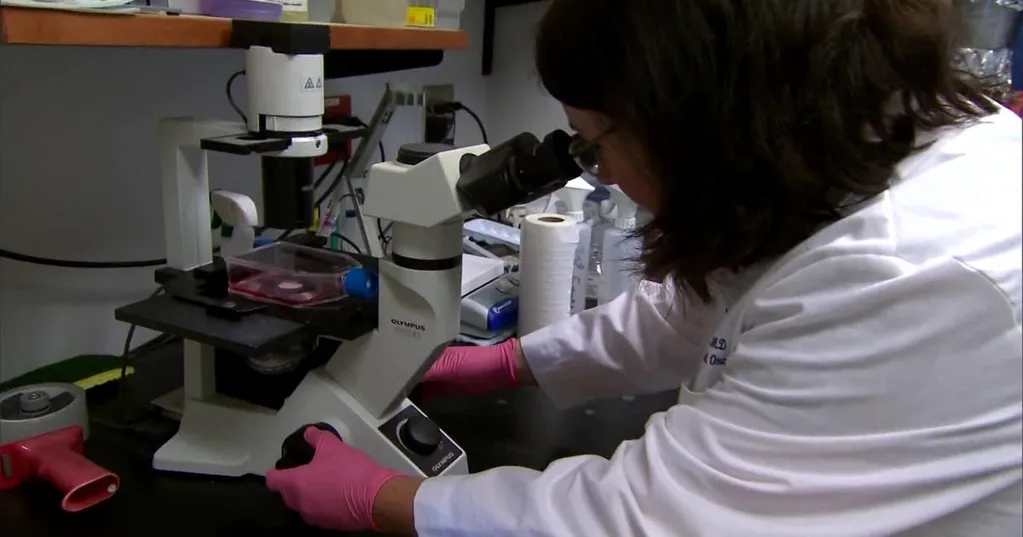 New York budget proposal threatens to roll back biomarker testing coverage, health care advocates say