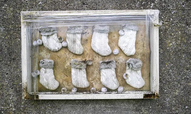 Major excavation of unmarked grave of babies and young children...