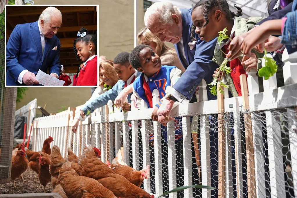 King Charles visits urban farm, feeds chickens on rare NYC visit