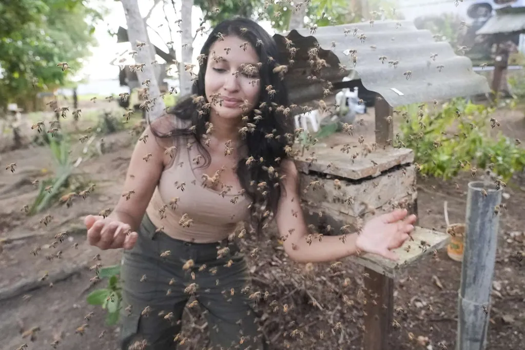 Rare Stingless Bees in the Amazon Become Some of the First Insects to Receive Legal Rights