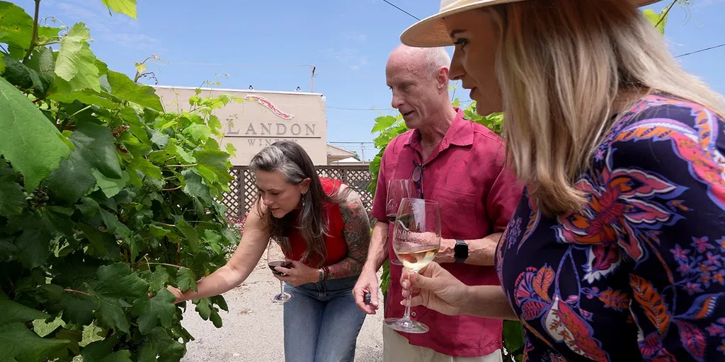 Texas winery beats Napa elites with small-town savvy and top-notch taste