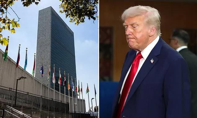 Trump official 'assaulted inside UN by leftist lunatic'