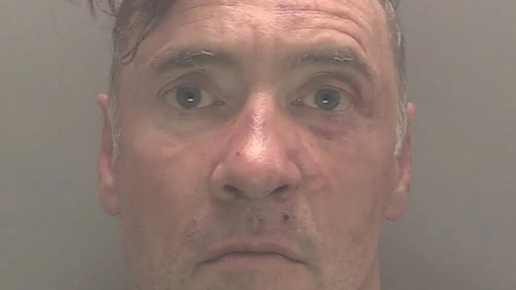 Man who mowed down crowds 'likely to be sent to secure hospital'