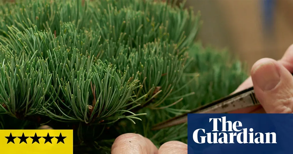 Light Needs review - a blooming lovely meditation on plants and their people