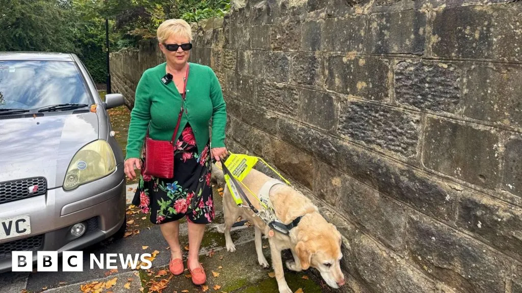 'Harrogate pavement parking makes it terrifying for me to go for a walk'