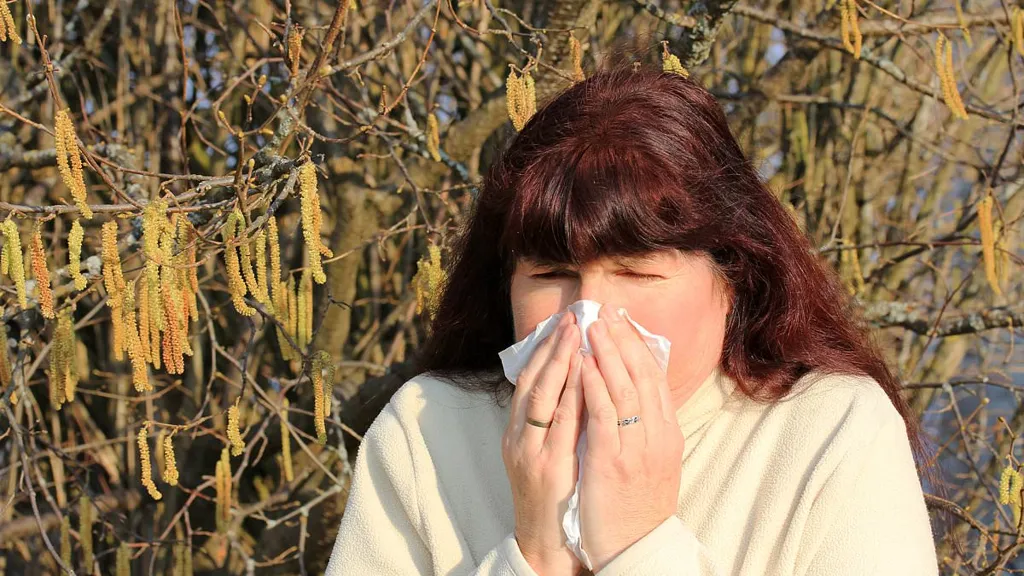The sun is shining after the deluge... so brace for HAY FEVER season