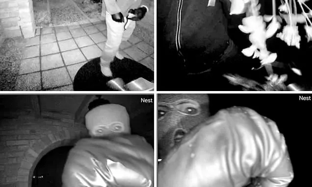 Video in investigation into Nancy Guthrie's abduction raises...