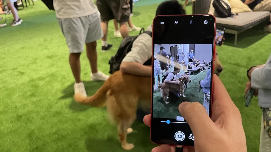 Pet photos are going to look a lot better on Snapdragon 8 Elite phones  --  here's why